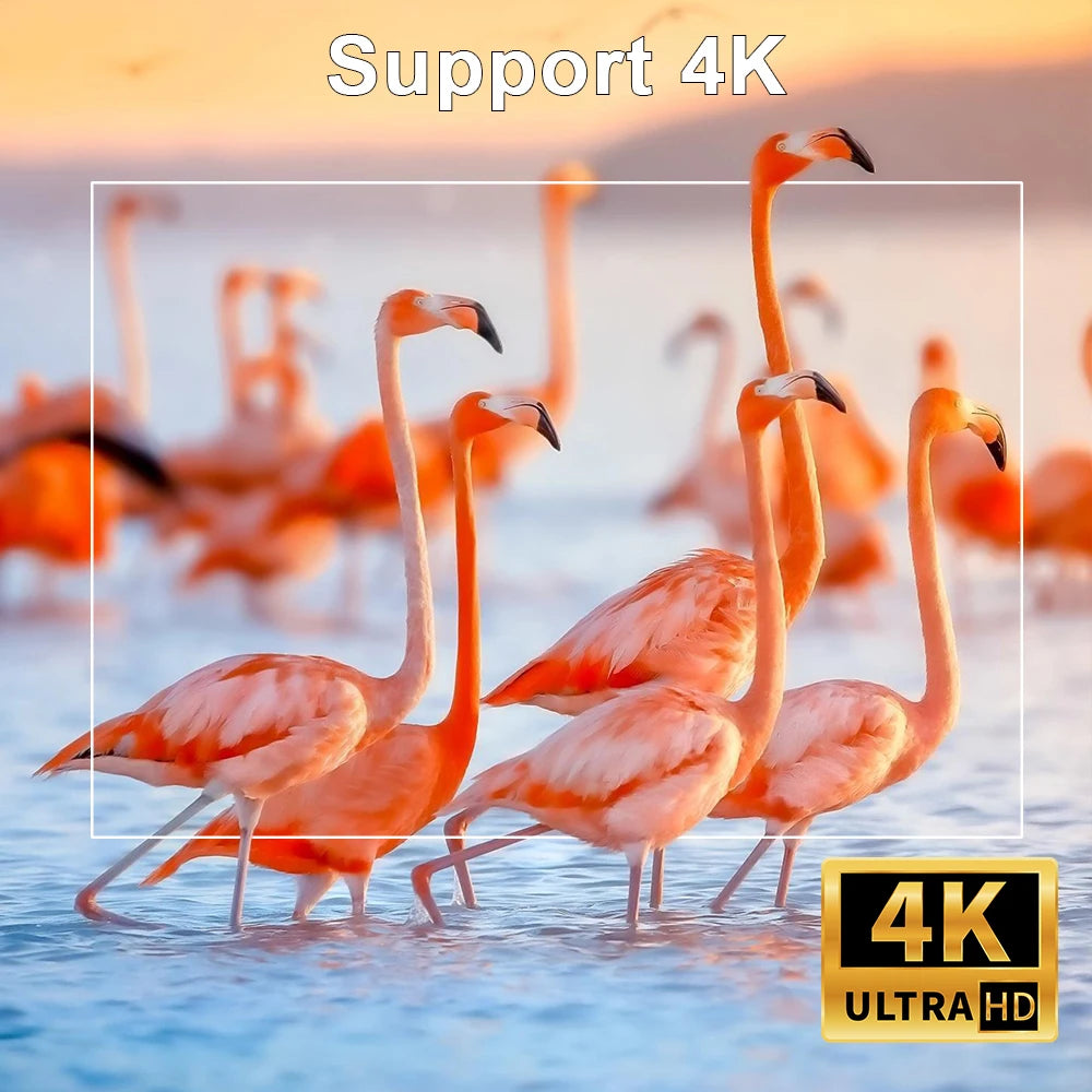 بروجيكتر 4K 260 انسي محمول مع نظام تشغيل اندرويد